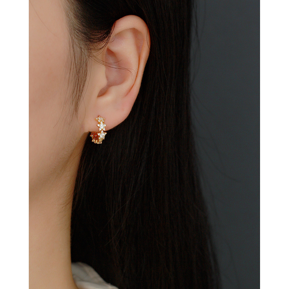 European Light Luxury S925 Silver Double-Sided Star Stud Earrings Five-Pointed Star Full Diamond Luxury Hoop Ear Cuffs - Image 13