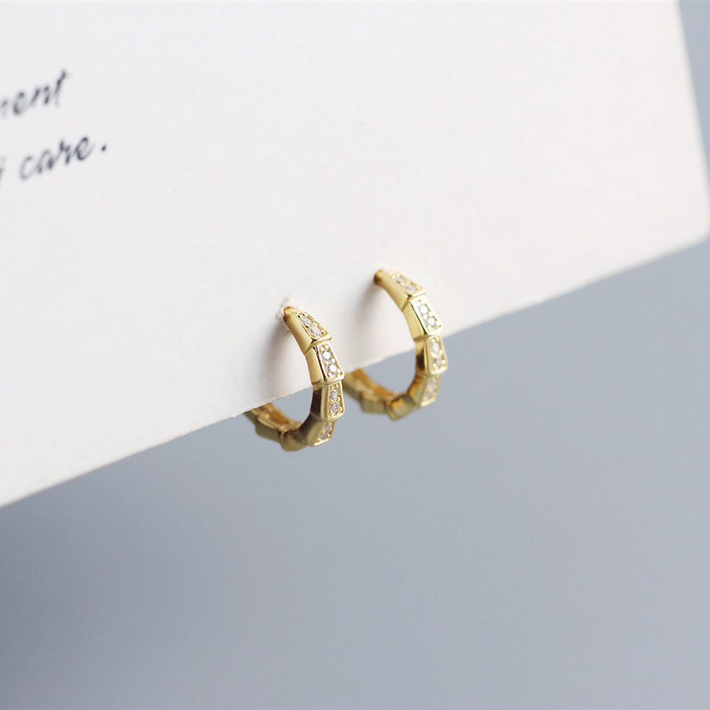 European S925 Silver INS Diamond-Set Earrings Design Snake Scales Ear Cuffs Layered Jewelry for Women - Image 12