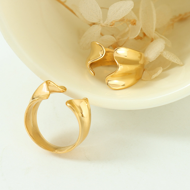 European Cold Minimalist Unique Shaped Open Ring for Women Trendy Simple Ins Titanium Steel 18K PVD Gold Plated Jewelry - Image 2