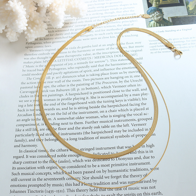 European Fashion Creative Necklace Sexy Girl Versatile Double Layer Blade Chain Ins Simple Choker Necklace for Women - Image 3